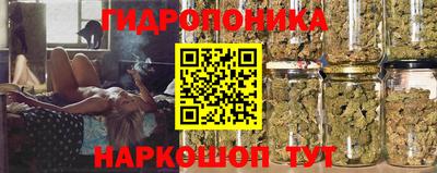 трава Котовск