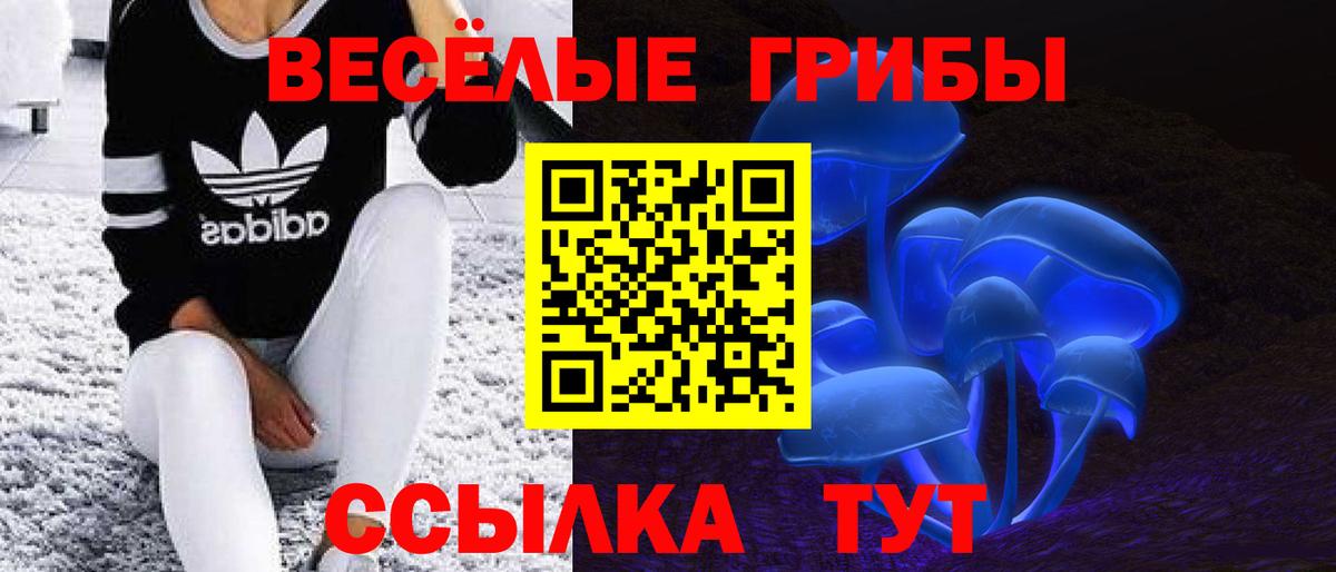 Псилоцибиновые грибы MAGIC MUSHROOMS  Вход с VPN  что такое   Дмитров 